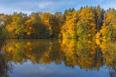 Autumn morning