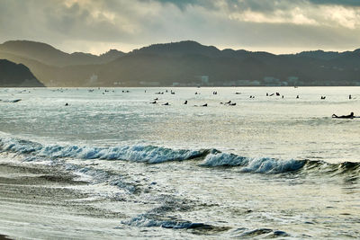 Large group of surfers on beach