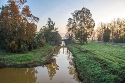 Canal amidst trees against sky