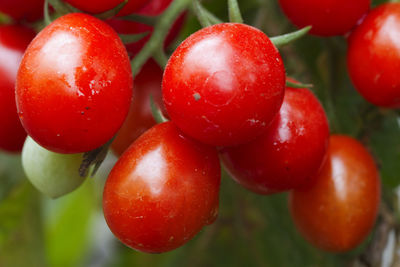 Close-up of strawberries