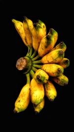Close-up of fruit against black background