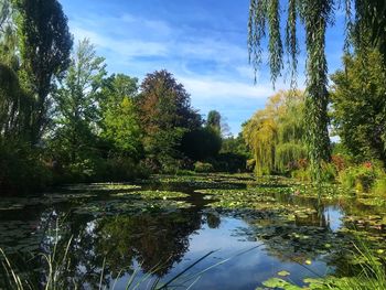 Scenic view of lake in forest against sky