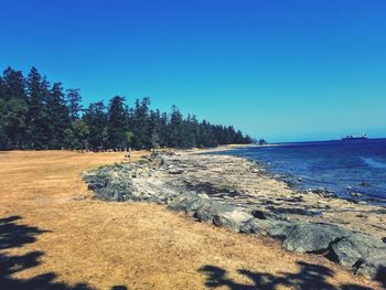 Scenic view of sea against clear blue sky