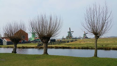 Bare trees by river against sky