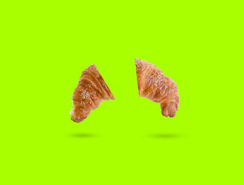 Close-up of bread on leaf against green background