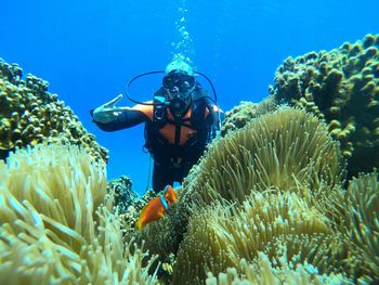 Young man swimming by coral in sea