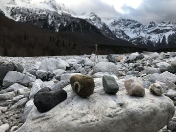Rocks on snow covered land