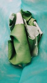 High angle view of green leaves on table