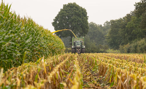 Agricultural machines during the maize harvest in september