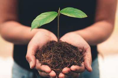 Midsection of person holding plant