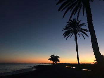 Silhouette palm trees on beach against sky during sunset