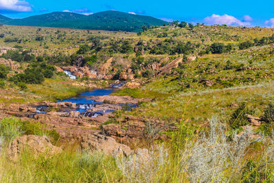 Scenic view of landscape against sky