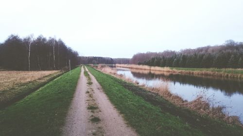 Road passing through forest