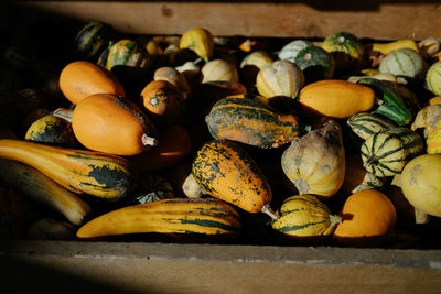 Close-up of pumpkins for sale at market