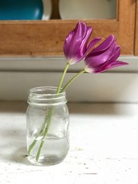 Close-up of flower in glass jar on table
