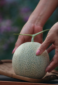Close-up of hand holding cantaloupe 