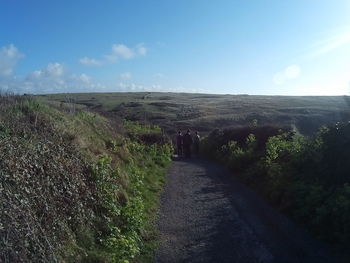 Footpath leading to dirt road