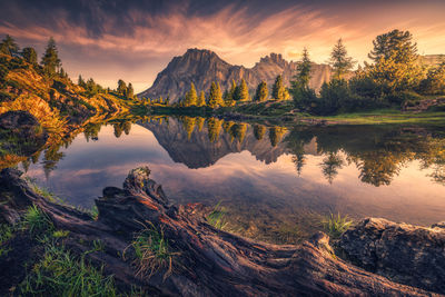 Scenic view of lake by trees against sky during sunset