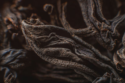 Extreme macro black loose leaf tea as a background. texture of dry black tea leaves in shallow depth