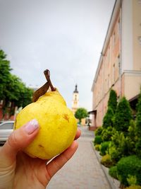 Cropped image of person holding apple against sky