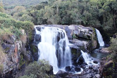 Scenic view of waterfall in forest