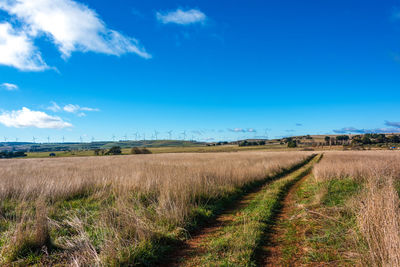 Road amidst grassy field against blue sky