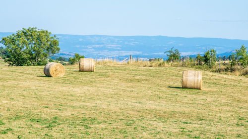 Hay bales on field against sky