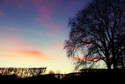 Silhouette bare trees against sky during sunset