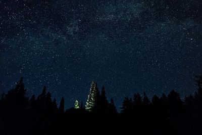 Silhouette trees against sky at night
