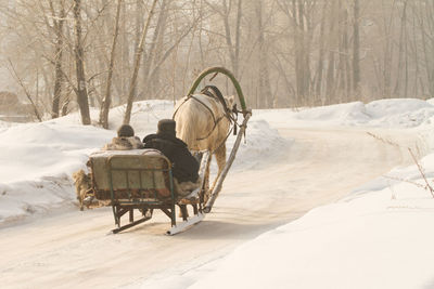 Horse cart in snow