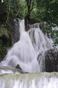 Scenic view of waterfall in forest