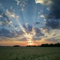 Scenic view of field against sky during sunset