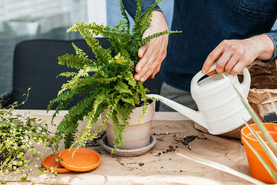 Close-up of the hands of a male florist watering a homemade fern. landscaping at home. 