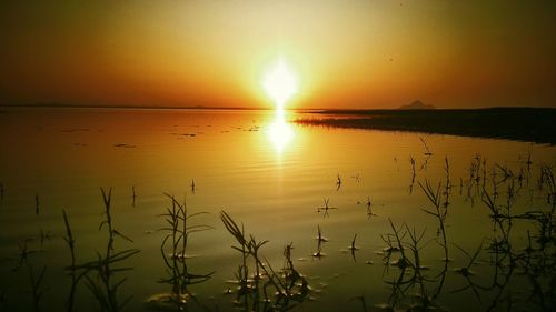 Scenic view of sunset over river