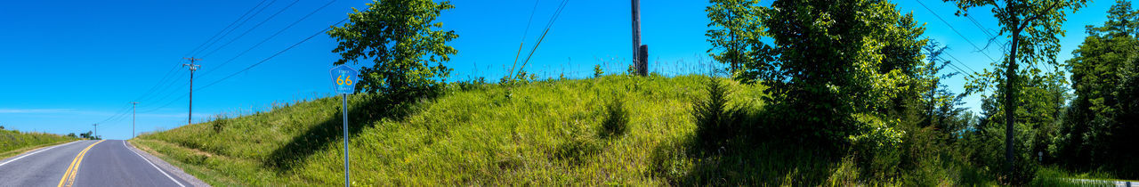 PANORAMIC SHOT OF ROAD AMIDST TREES AGAINST CLEAR SKY