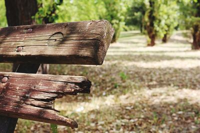 Close-up of broken bench in park