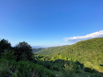 Scenic view of landscape against blue sky