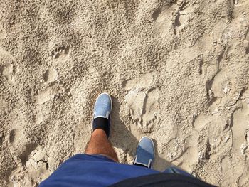 Low section of man standing at beach