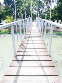 Footbridge along trees