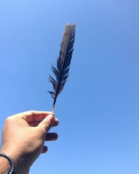 Close-up of hand holding blue sky