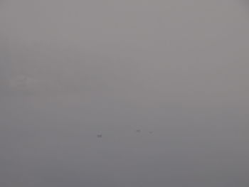 Full frame shot of fog