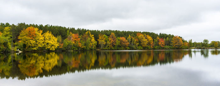 Scenic view of lake by trees against sky