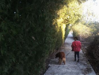 Rear view of woman with dog walking on footpath