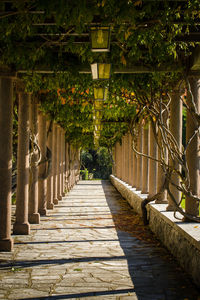 This photo shows a winery nestled along the coast, with the sparkling blue waters of the ocean.