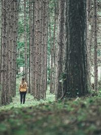 Rear view of people walking in forest