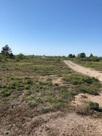 Scenic view of field against clear blue sky