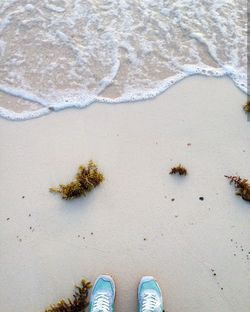 Low section of man standing on beach