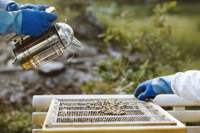 Cropped hands on beekeepers examining honeycomb at field