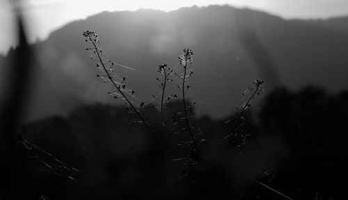 darkness