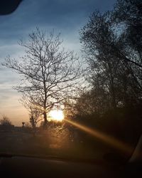 Silhouette bare tree against sky during sunset